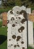 Photo of headstones/thumb_Isabella MacLennan (Goodall) died 1942 MI Fodderty
